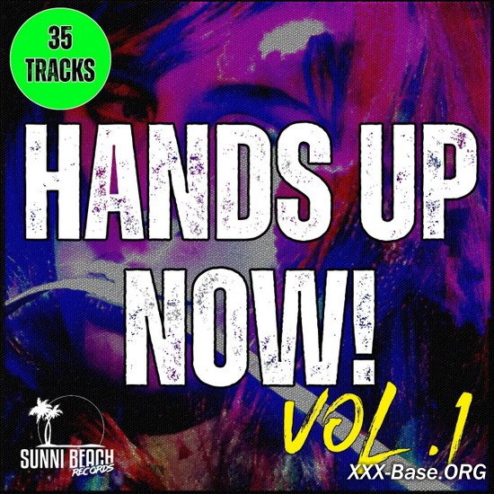 Hands Up Now Vol.1