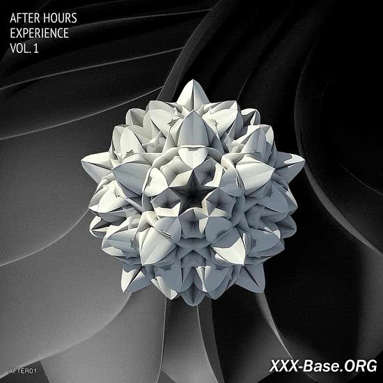 After Hours Experience Vol. 1