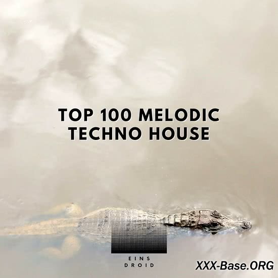 Top 100 Melodic Techno House