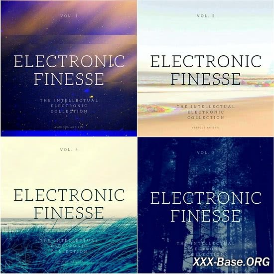 Electronic Finesse (The Intellectual Electronic Collection)